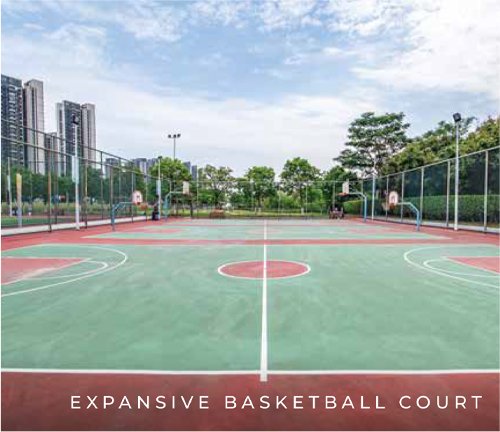 Basketball court